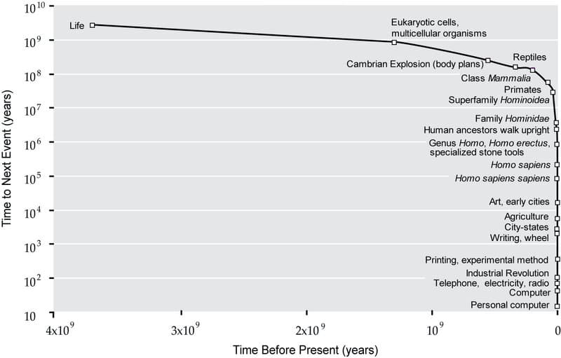 Evolution linear